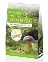 MYKORYZA gyvas grybienos preparatas spygliuočiams ir lapuočiams medžiams