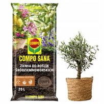 COMPO Viduržemio jūros regiono augalų substratas citrusams, oleandrams ir levandoms, 20L