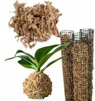 Sphagnum durpyninės samanos 150g Čilė Pietų Amerika PREMIUM