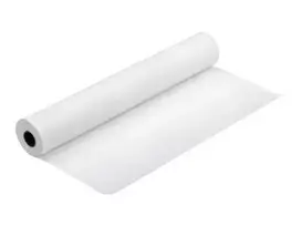 Epson Premium Luster fotopopierius, 30 cm x 30,5 m, 260 g/m²