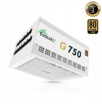 Evolveo EVOLVEO G750 zasilacz 750W 80+ GOLD ATX 3.1 aPFC 140 mm wentylator w pełni modularny gwarancja 3 lata biały | G750-WH | 8595683206204