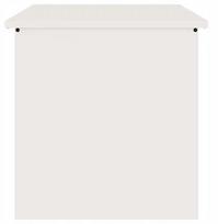 Lauko daiktadėžė vidaXL Lauko daiktų laikymo dėžė White 55 x 50.5 x 50 cm Lumarko! | 874575 VidaXL | 8721288623003