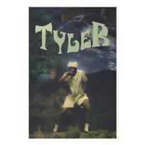 1Pc Tyler The Creator Live Performance Wall Tapestry For Bedroom Living Room, Cool Room Stuff, Large Size, Polyester 2D Print, B 40X60cm