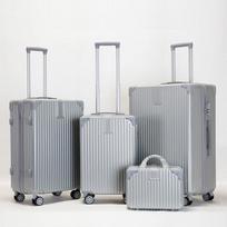 OEING Silver 4-Piece Luggage Set