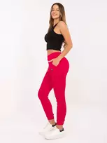 Sportinės kelnės-RV-DR-9602.50-raudona