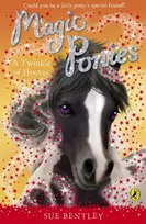 KNYGA Bookshop Magic Ponies: A Twinkle of Hooves
