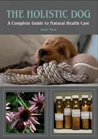 KNYGA Holly Mash Holistic Dog