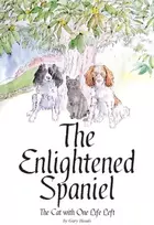 KNYGA Bookshop Enlightened Spaniel