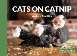 KNYGA Andrew Marttila Cats on Catnip: 20 Postcards