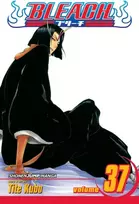 KNYGA Bookshop Bleach, Vol. 37