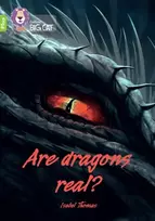 KNYGA Isabel Thomas Are dragons real?