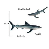 Endangered Marine Animals Figurines Killer Shark Orca Beluga Whale Dolphin Seal Model Action Figure Toy Conservation Awareness