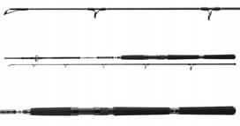 Jūrinė meškerė DAIWA BG Offshore Pilk 210 cm, 40–125 g