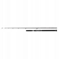 Meškerė SHIMANO BeastMaster AX Catfish Vertic Spin 185 cm, 200 g