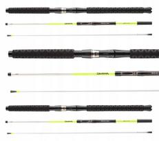 Kelioninis meškerykotis DAIWA SEALINE X TREME INTERLINE 213/30-40lbs