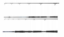 Žūklės meškerė Daiwa Sealine Pilk 2,25 m 100–250 g 11352-226