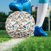 1pc Fungi Fantasy Foot-Friendly, Anti-Slip and Wear-Resistant, High Elasticity, size 5 Indoor/Outdoor Universal Soccer Ball Q60539 Size 5