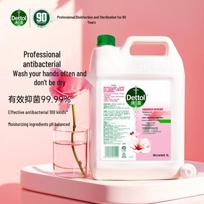 Dettol Floral Scent Moisturizing Antibacterial Hand Wash, 5L