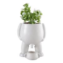 Succulent Ceramic Flowerpot Succulent Urine Pot Living Room Creativity Spoof Flowerpot Decoration Green Plant Desktop Ornament