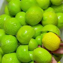 Crispy Lemon Stress Ball Squeeze Toy Color-Changing Squishy Fidget Ball  Sensory Stress Relief Decompression Toy Gifts žalia