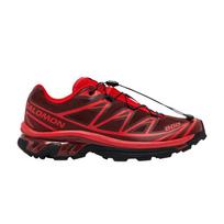Salomon XT-6 Rum Raisin 44