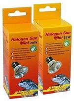 Lucky Reptile Halogen Sun Mini 2 vnt. 20W