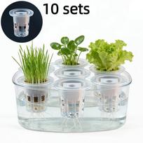 10pcs Hydroponic Seedling Basket Set Greenhouse Hydroponic Seed System Transparent Anti-Drift Planting Baskets