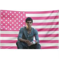Dylan O'B-Brien Rožinė Amerikos Vėliava Gobelenas Gražus Aktorius Sienos Kabinys Plokščias Spaudinys Estetiškas Kambario Dekoras Miegamajam Svetainei Studentų Bendrabučiui 40X60CM pink