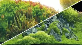 HOBBY akvariumo fonas „Planted River“