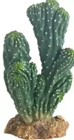HOBBY kaktusas „Victoria“, 22 cm, terariumui