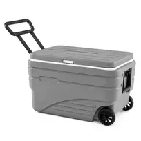 Termo dėžė 80l