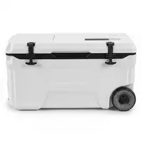 Termodėžė 50 l