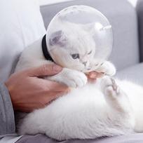 Kvėpuojanti katės snukio kaukė nuo kandžiojimo, priežiūros kaukė, apsauginis kosminis gaubtas nuo laižymo one size