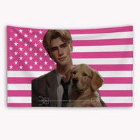Alan Warner Shatter Me Wiki American Flag Banner | Custom Flat Printed Tapestry, Outdoor Indoor Home Decor For Bedroom 40X60CM
