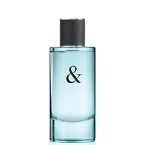 Tiffany  AND  Co. Tiffany  AND  Co, Love, Eau De Toilette, For Men, 90 ml *Tester