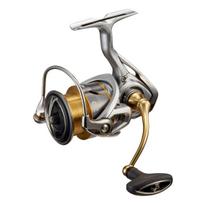 Daiwa 21 Freams LT3000-CXH