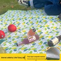 Thickened Outdoor Moisture-Proof Picnic Mat with Pearl Cotton & Aluminum Foil