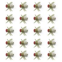 Durable Flies Model Vivid Prank Props Plastic Halloween Prop Artificial Fly Animal žalia