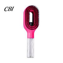 2-in-1 Hair Brush 2-In-1 Spray Brush, Frizz Static Control Detangling Men Women Misting for Dry, Flyaway & Tangled Water rožinė raudona spalva