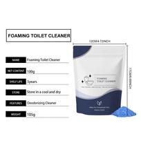Toilet Cleaner Heavy Duty Refreshing Deodorizer 100g Foaming Bowl Cleaner Powder for Yellowing Rust Home Apartment Hotel Office 100g