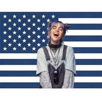 Billie Eilish Pink American Flag Tapestry, Funny Aesthetic Wall Banner, For Bedroom Dorm College Party Decor 40X60CM