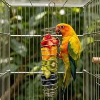 4.5*23cm Millet Foraging Tray Holder Bird Treat Bowl for Cage Parakeet Cockatiel Conure Canary Finch Non Spill Multi Purpose raudona