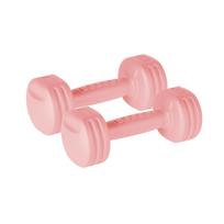 Bituminous Dumbbells 2X1Kg Dumbbell Set For Rebel Exercises