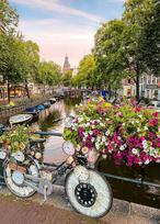 Ravensburger 1000 Puzzle Dėlionė: Bicycle and flowers in Amsterdam
