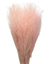 Cooee Design - Dried Flowers Feather Pampas - Džiovintos gėlės - Rožinė