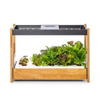 Išmanioji sodininkystė Click and Grow 25, CG25BMAINSG, juodas