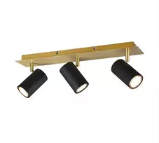 Kryptinis šviestuvas TRIO MARLEY, 35 W, 3 × GU10