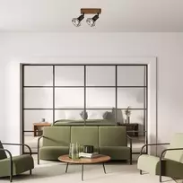 Nukreipiamas šviestuvas Zeus 3138