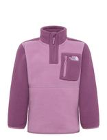 The North Face - Teen Yumiori 1/4 Zip Jacket - Flisinė striukė - Violetinė