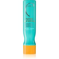Malibu C Color Wellness drėkinamasis kondicionierius dažytiems plaukams 266 ml